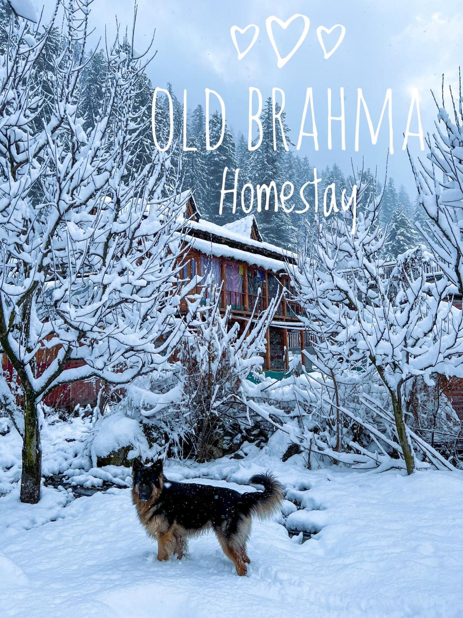 Old Brahma Homestay Kalgha Exterior foto